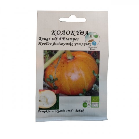 BIO Κολοκύθα (Cucurbita maxima) Rouge d'Etampes